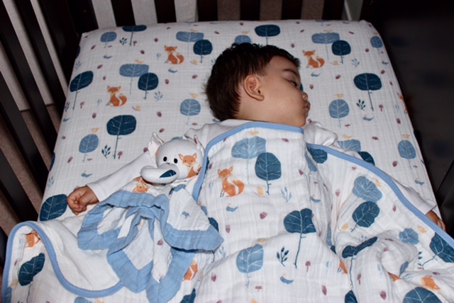 aden + anais muslin bedding is soft, breathable, and perfect for your baby.