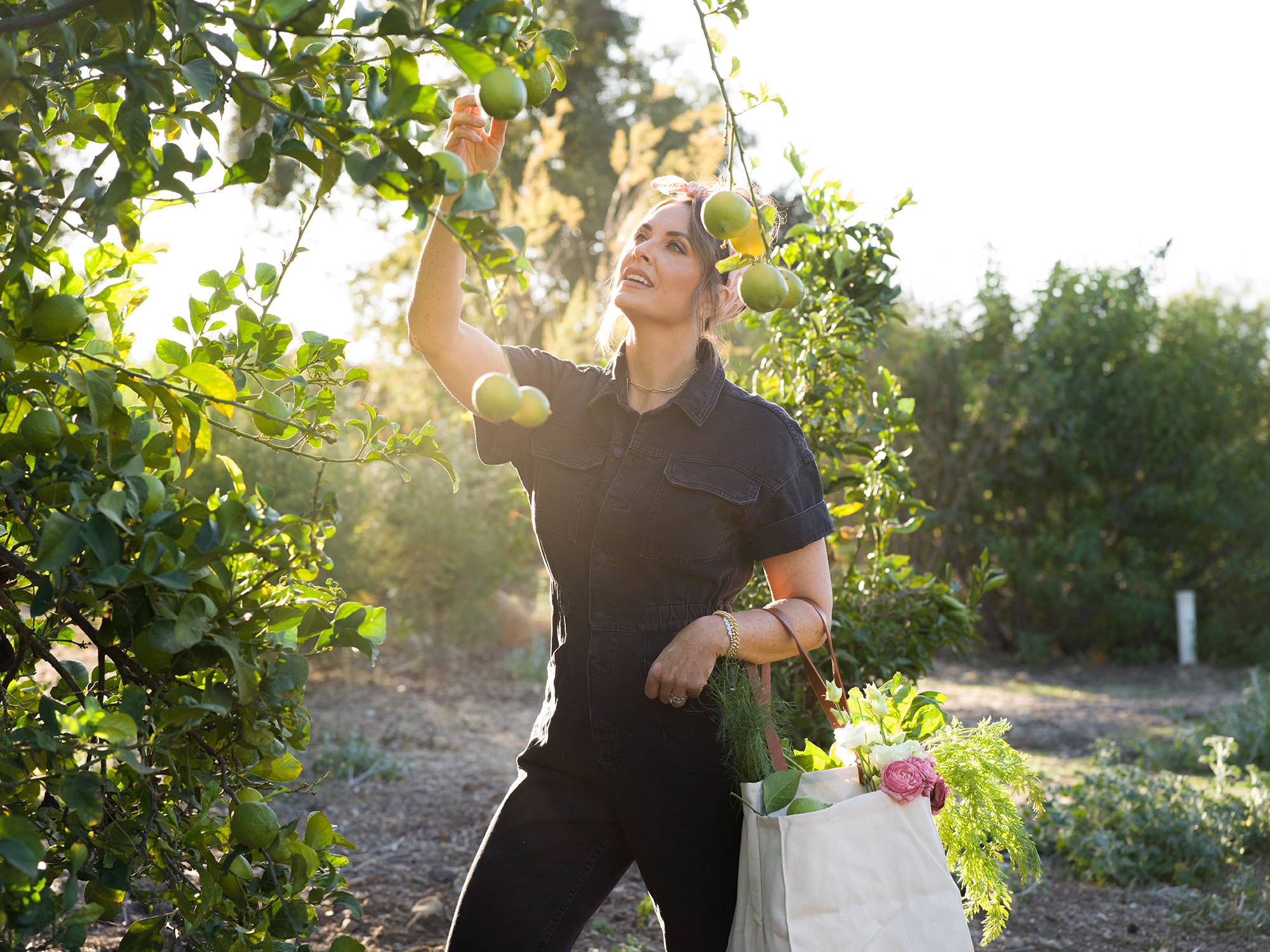 Woman picking apples.